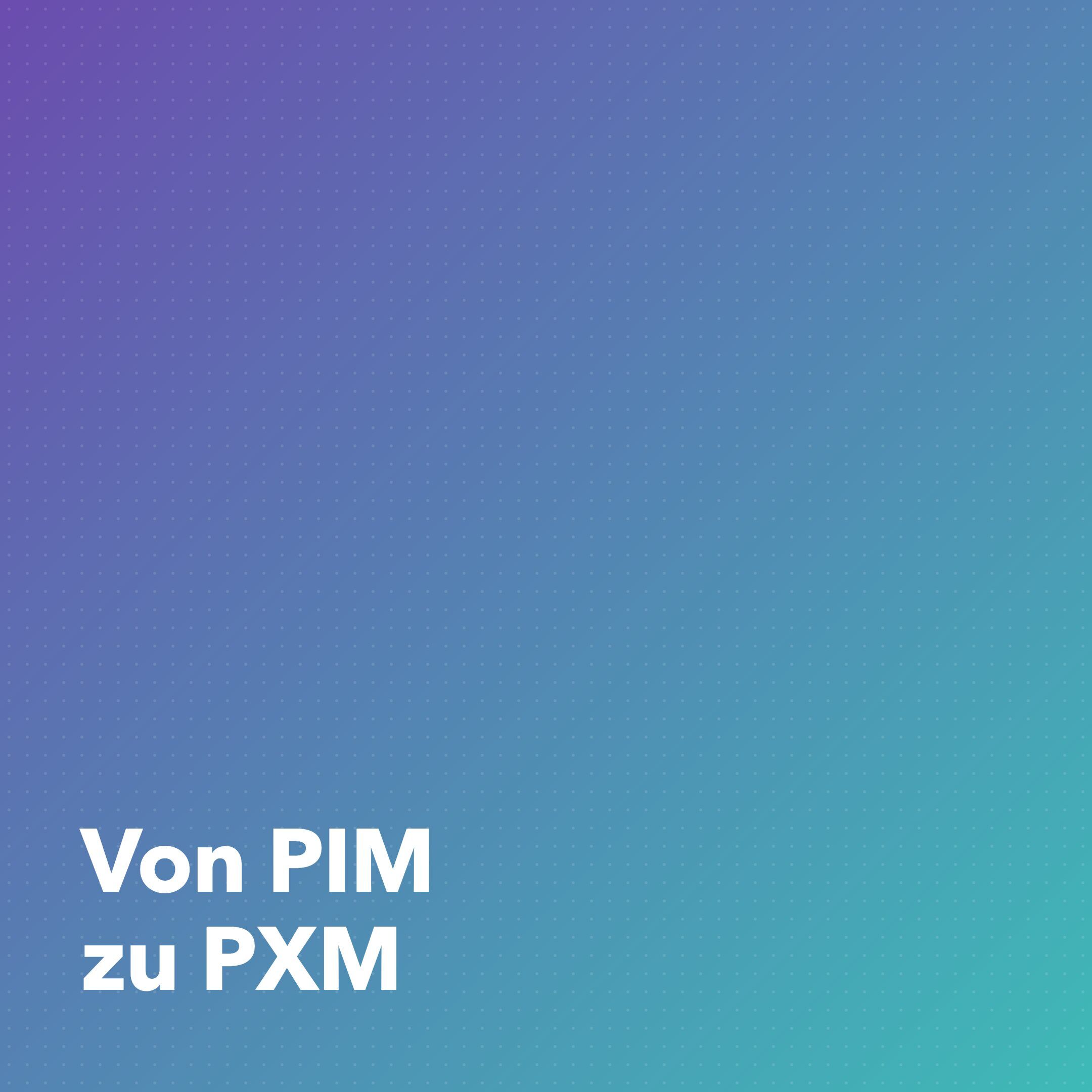 Webinar-Recap Von PIM zu PXM mit Felix Sobol und Philipp Foreman