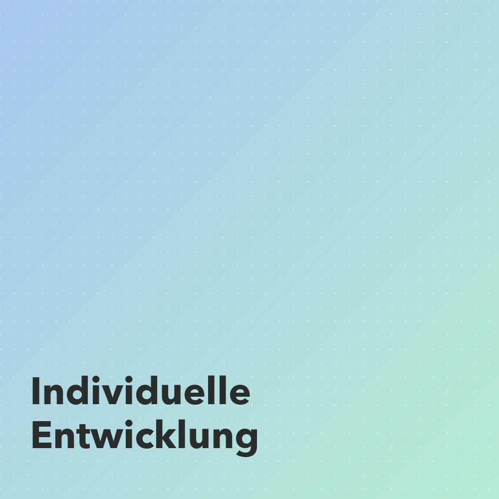 Individuelle Shopware Entwicklung