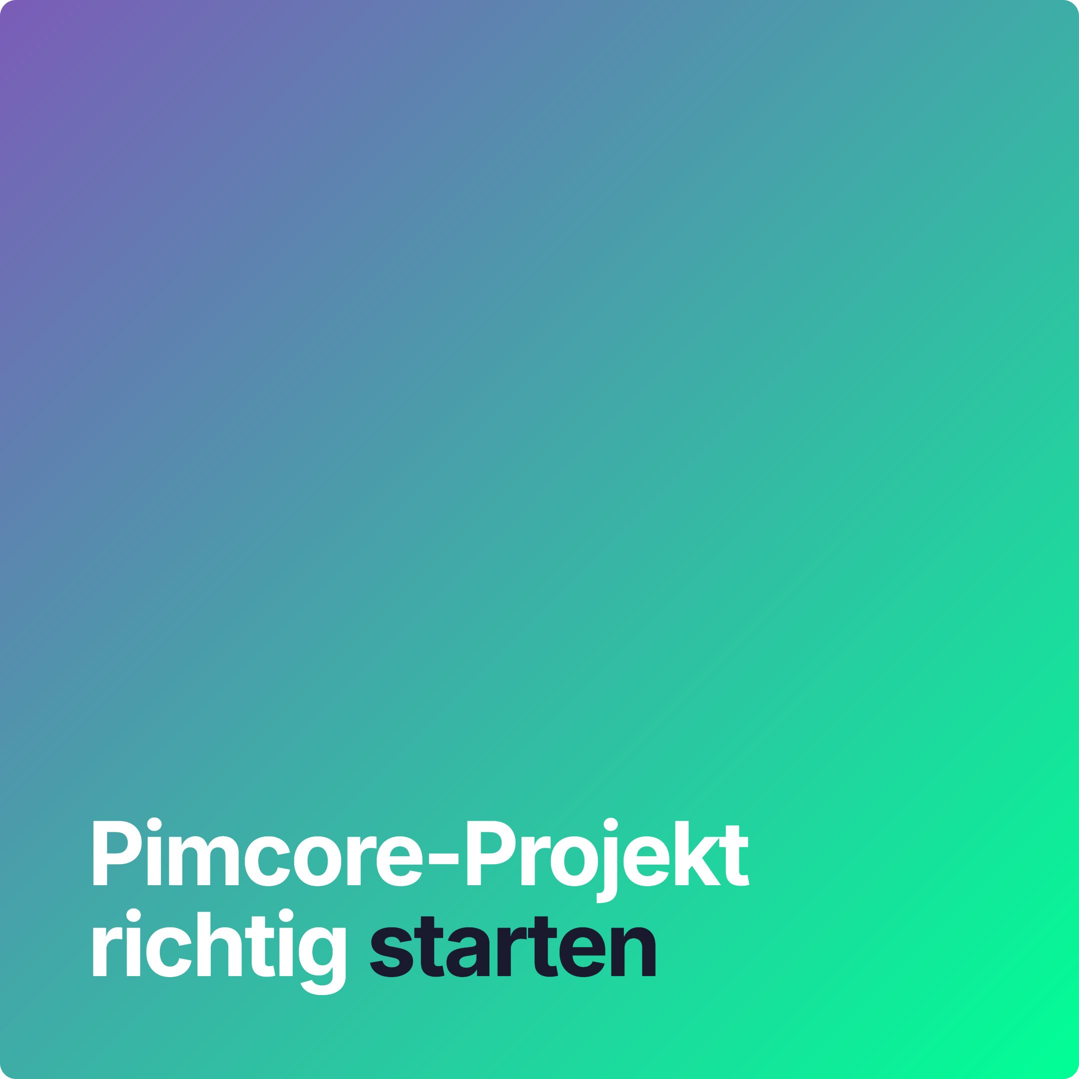 Hero-Grafik zum Ratgeber: Pimcore-Projekt richtig starten