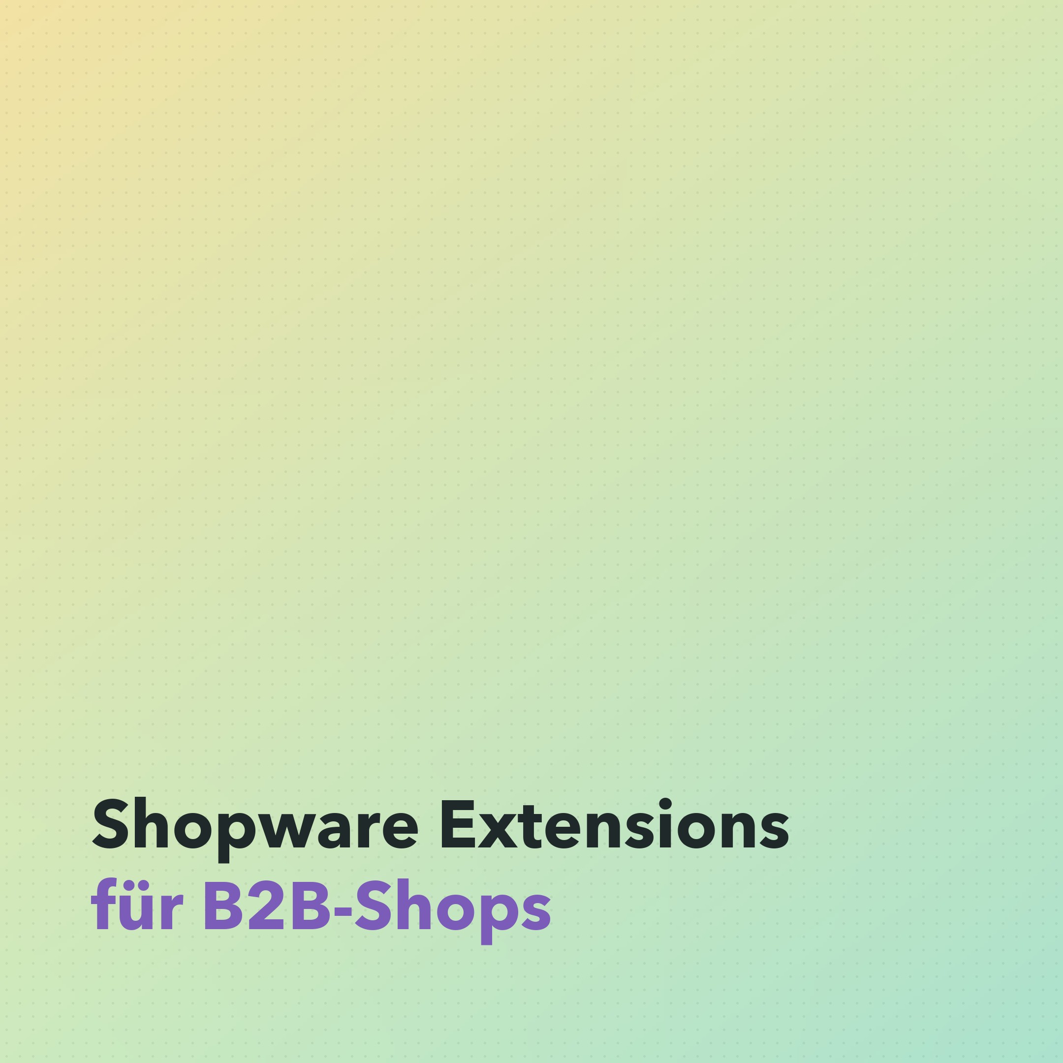 Shopware Extensions für B2B-Shops: Welche Plugins wirklich nötig sind