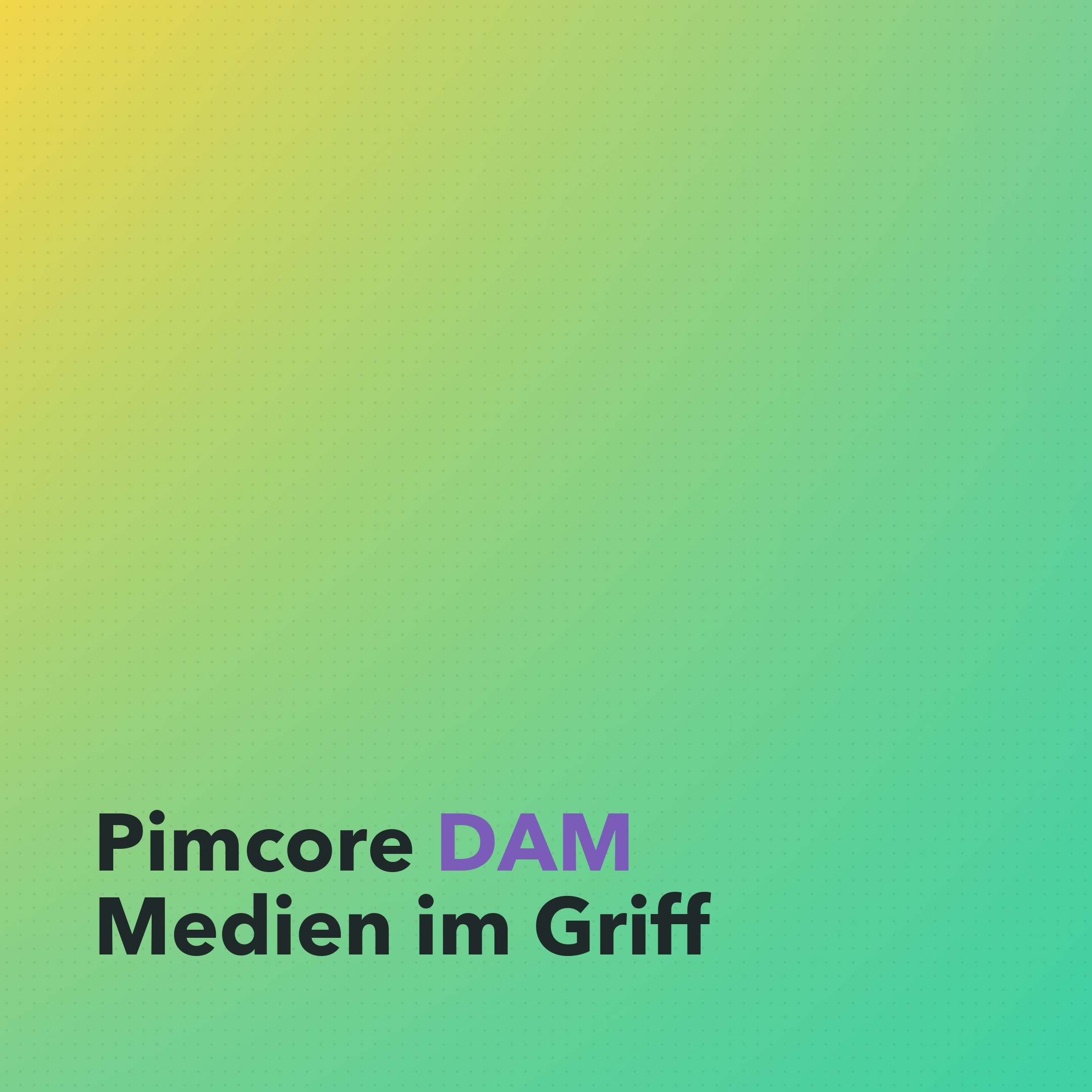Pimcore DAM: Digitales Asset-Management für Produktbilder und -medien